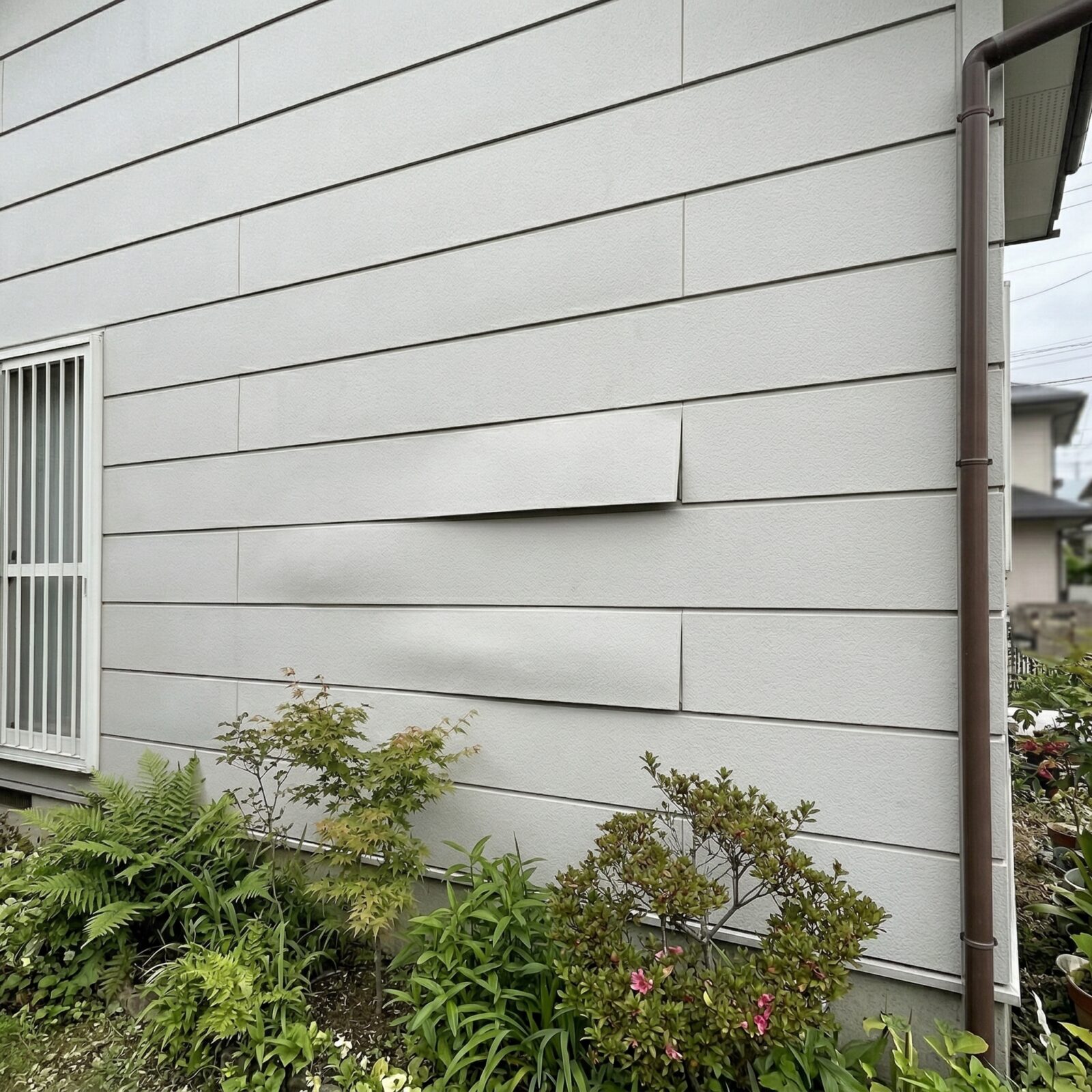 サイディングの浮き・反り